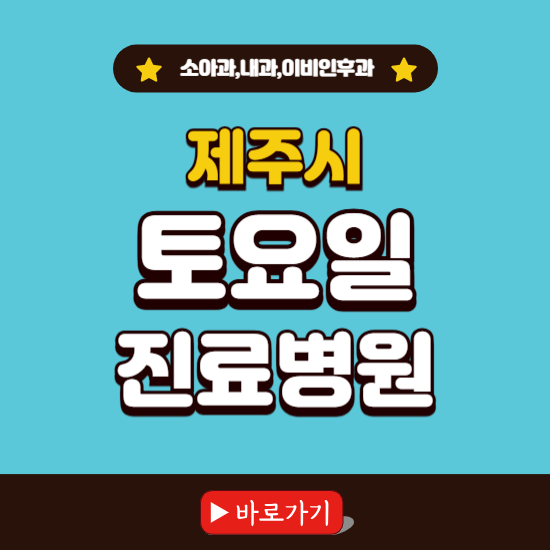 제주시 토요일 진료 병원 찾기 ❘ 주말 문여는 소아과, 내과, 이비인후과 리스트