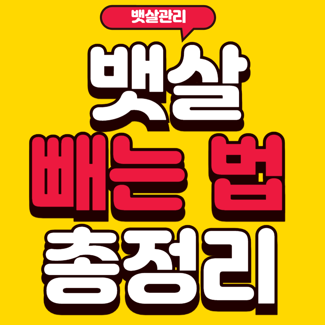 뱃살빼는법