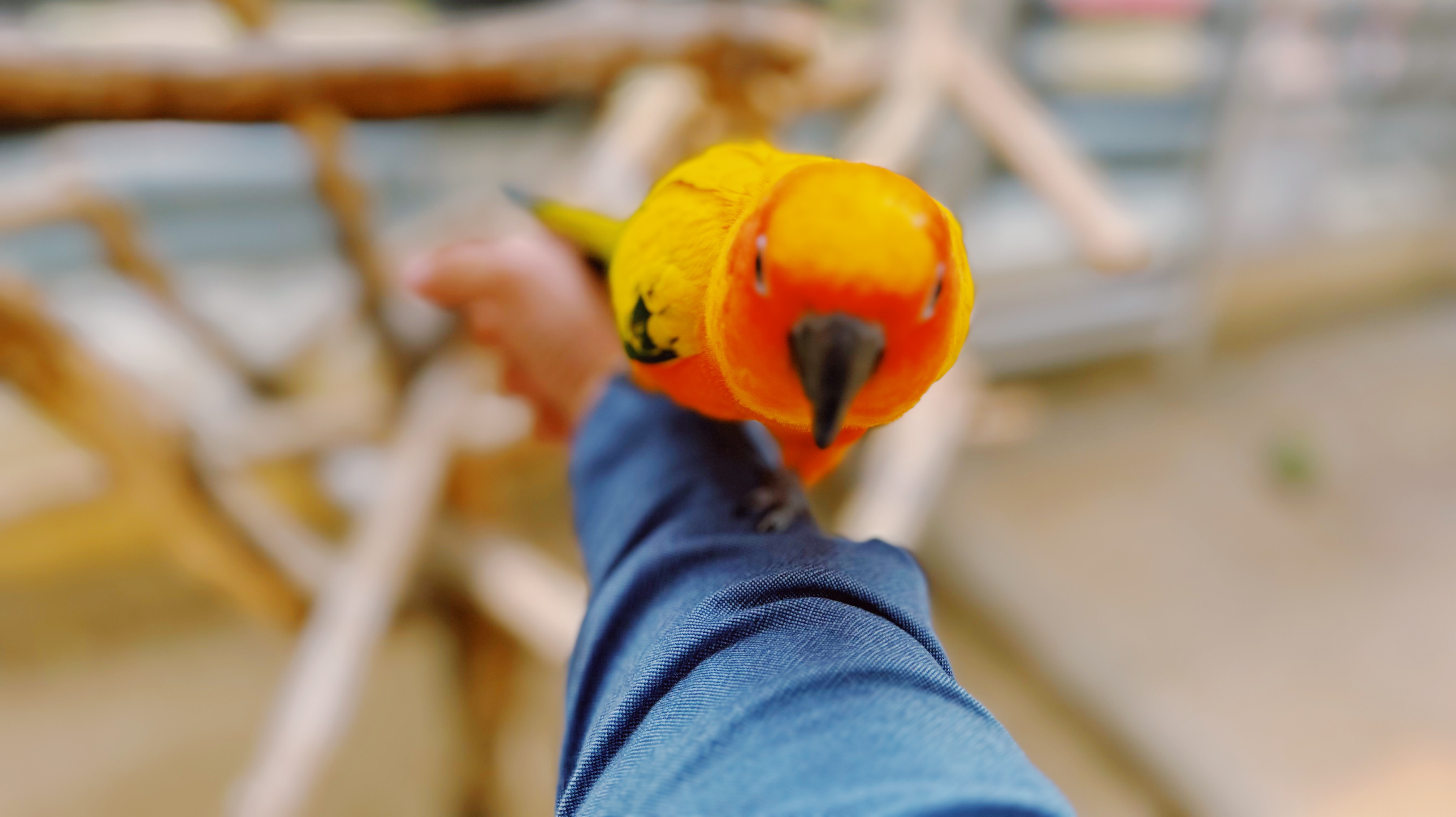 오월드 버드랜드