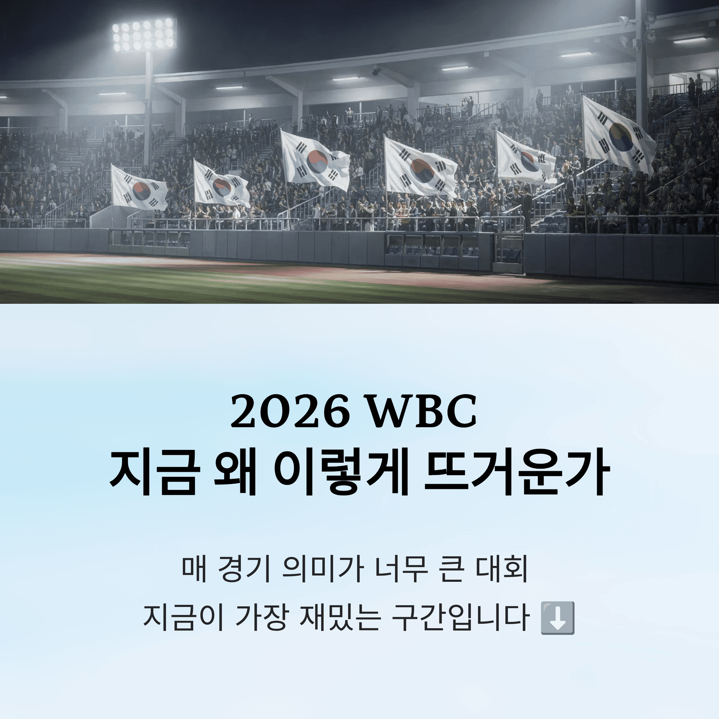 WBC 야구, 지금 왜 이렇게 뜨거운지 한 번에 정리