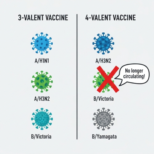 독감예방접종 시기