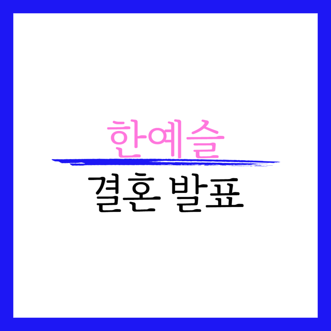 한예슬 남친 결혼 사진 이혼 나이 근황