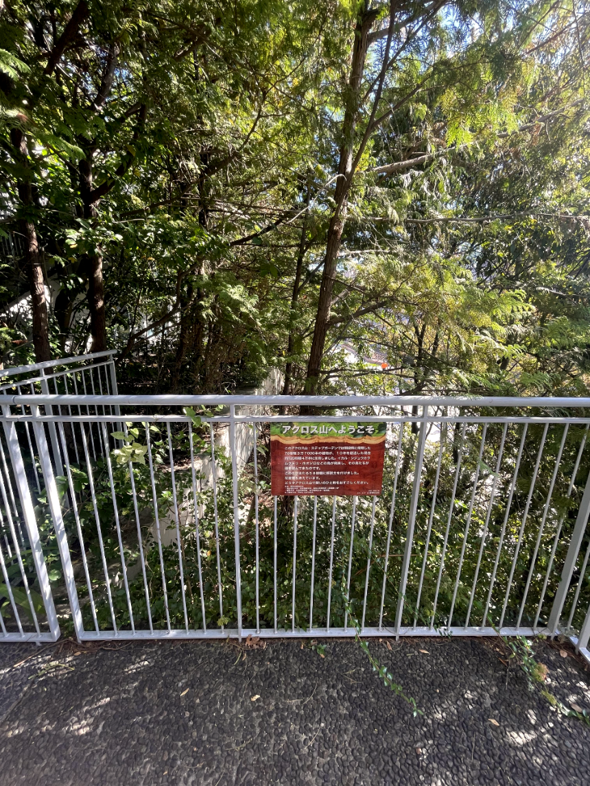 아크로스 후쿠오카 옥상계단2