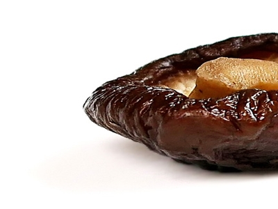 표고버섯 효능 사진15