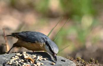 카톡 친구추가하는법 간단 요약 13