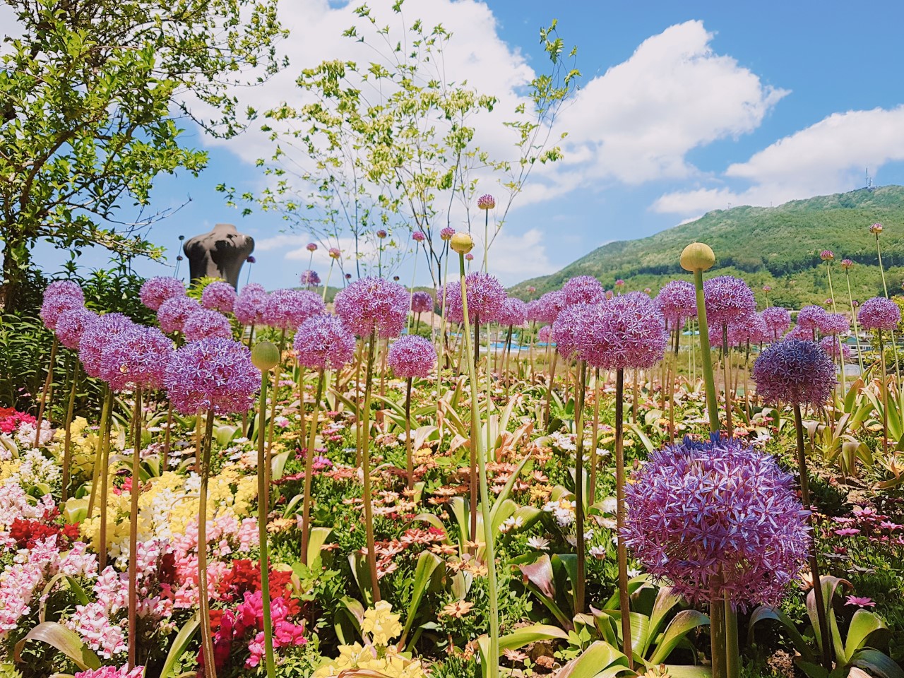 아름다운정원 화수목