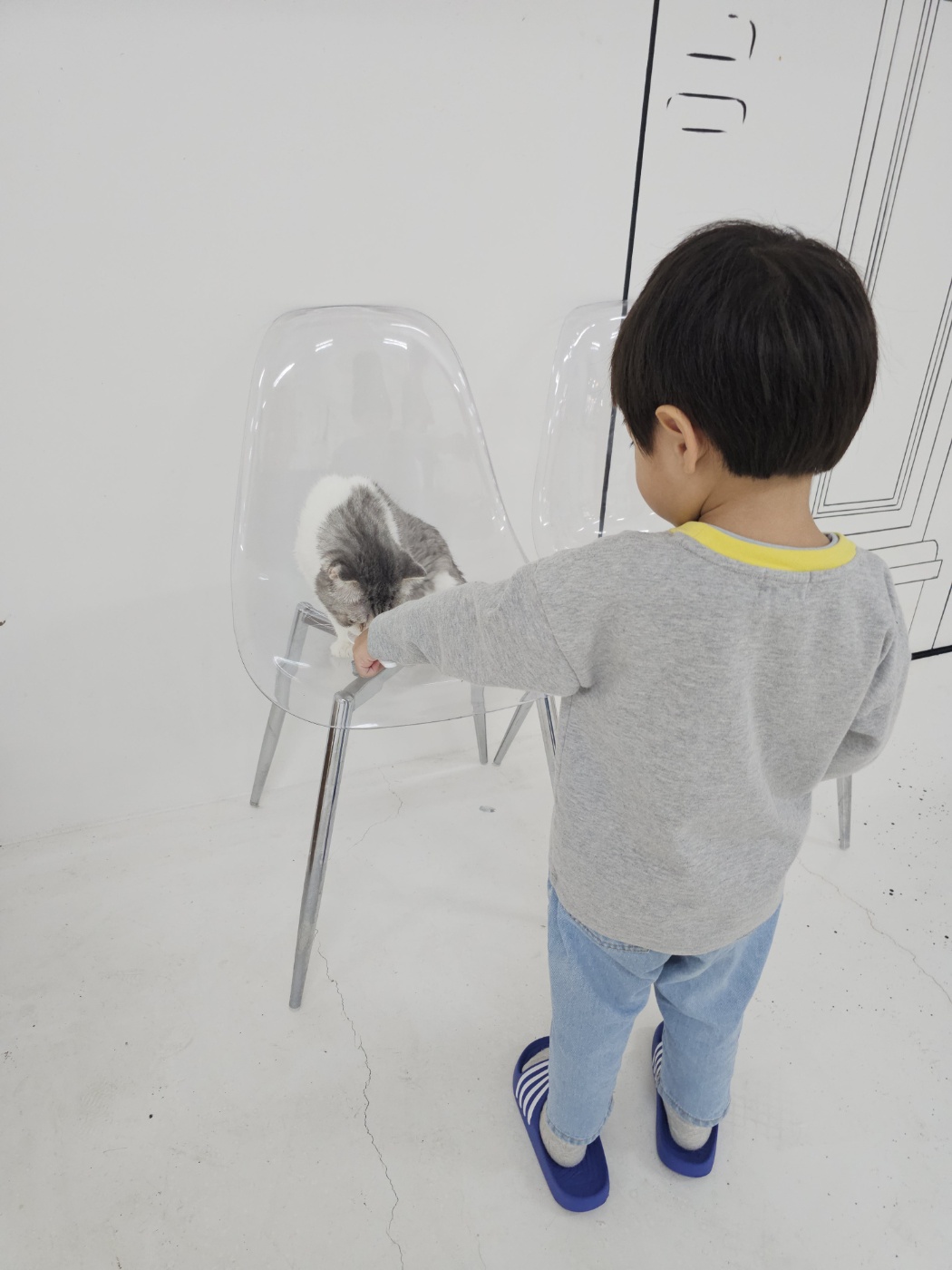 야옹이네 고양이 카페