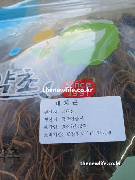 간 좋은 음식 약초 엉겅퀴