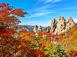 가을 여행하기 좋은 곳