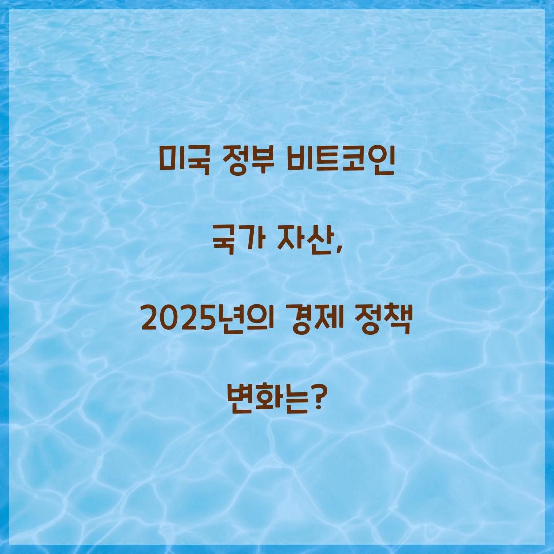 미국 정부 비트코인 국가 자산