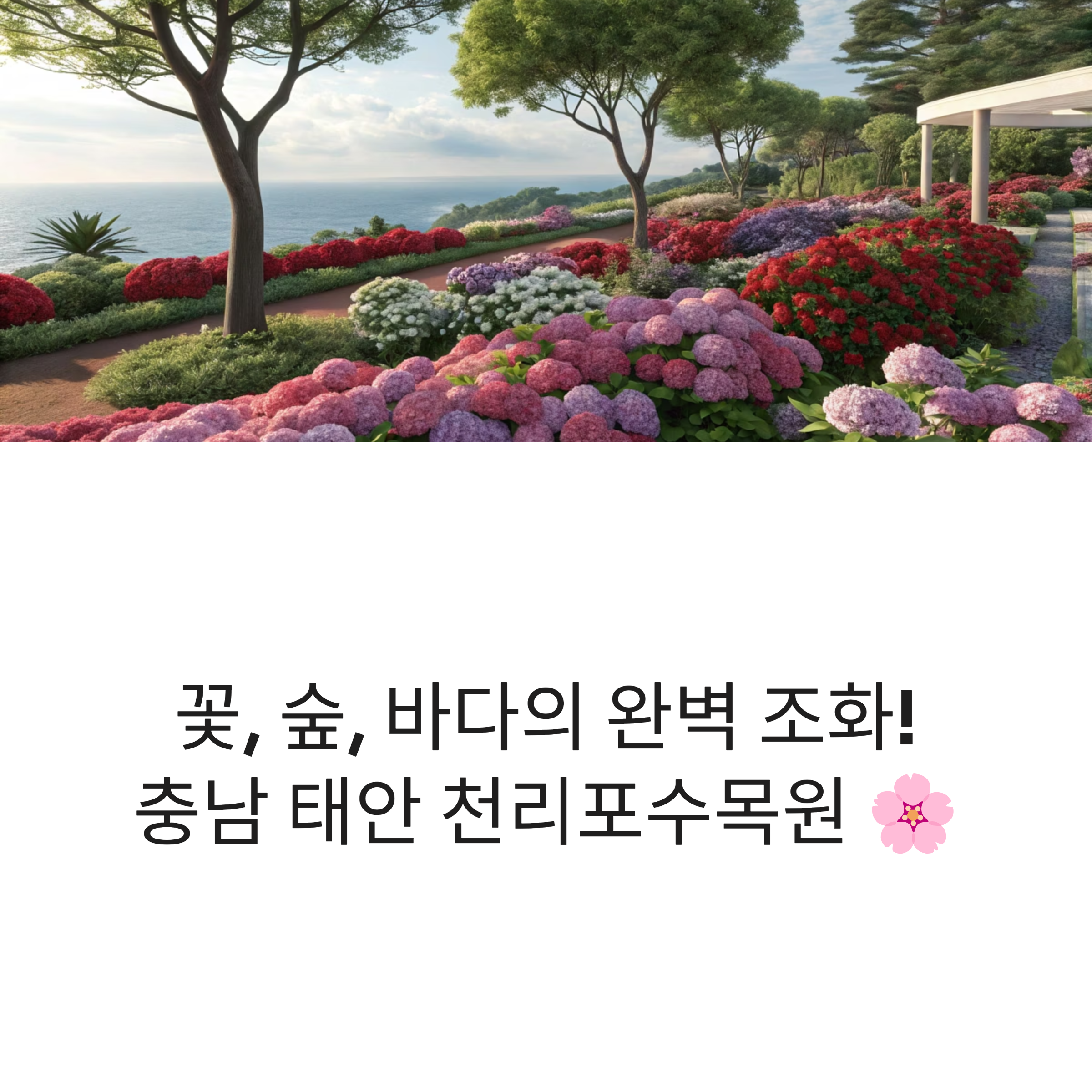 태안 천리포수목원 수국축제, 방문 팁부터 맛집까지 총정리