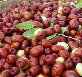 대추 효능과 부작용 고르는법 칼로리