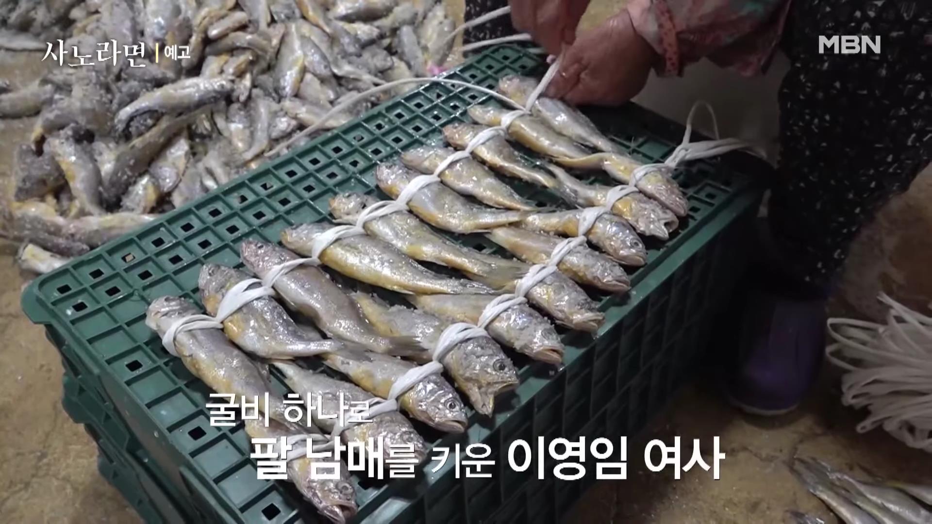 휴먼다큐 사노라면 583회 96세 굴비 장수 어매의 고집스러운 사랑 소개 및 연락처 방송 정보 다시보기