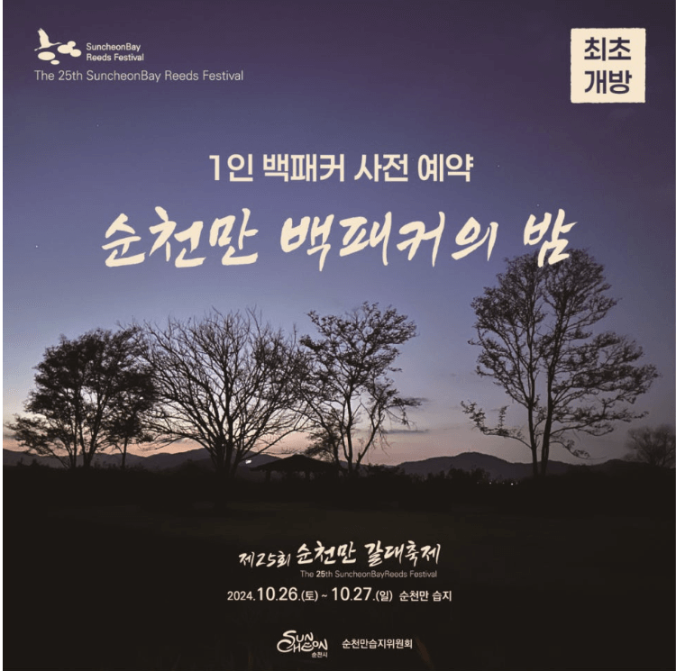 순천만 백패커의 밤