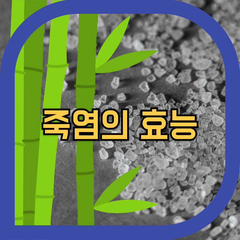 소금과대나무 이미지