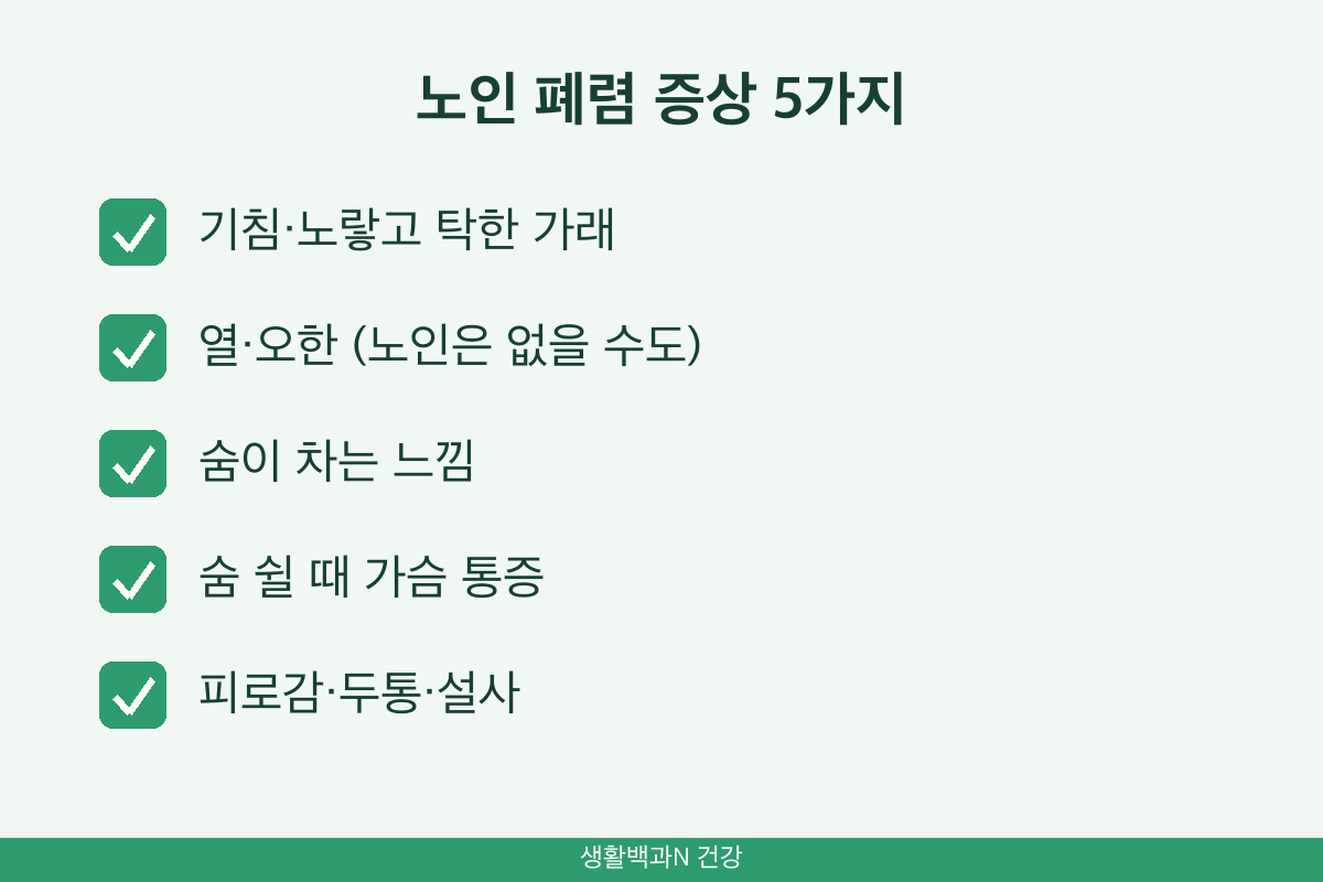노인 폐렴 증상 기침 가래 발열 호흡곤란 가슴 통증 피로