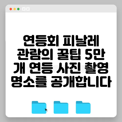 연등회 피날레 관람의 꿀팁 5만 개 연등 사진 촬영 명소를 공개합니다