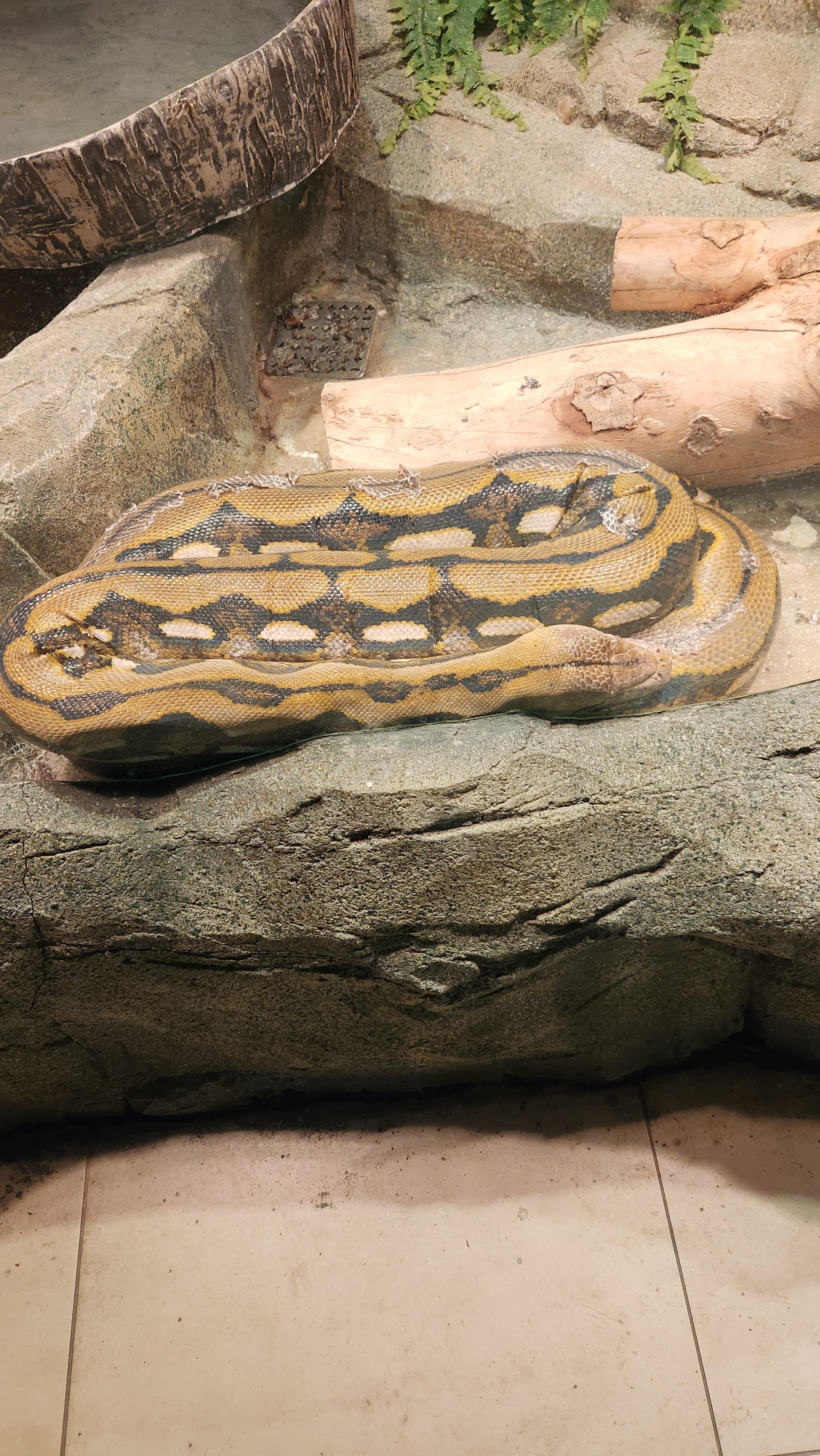 대구-네이처파크