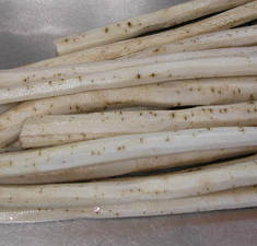 우엉 효능과 부작용 고르는법 요리 먹는법