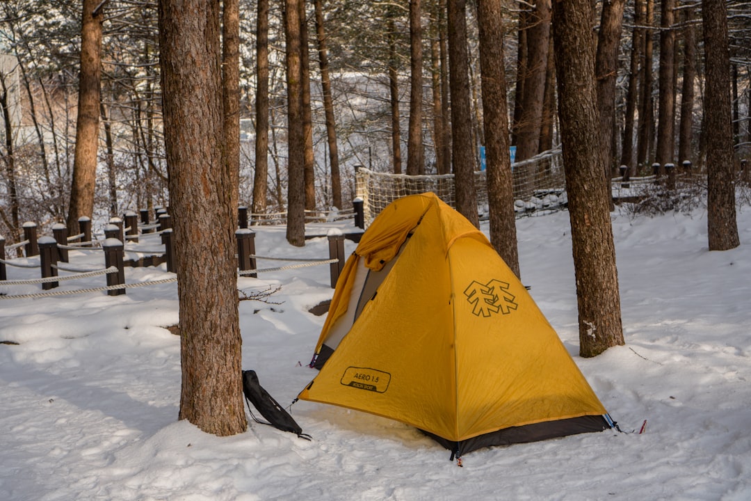 Camping site.