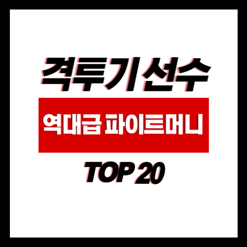역대 단일 경기 최고 파이트머니 TOP 20 : (20위-11위)