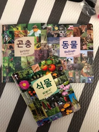 곤충과 동물의 차이점 생물 분류 기준과 이해 돕기_17