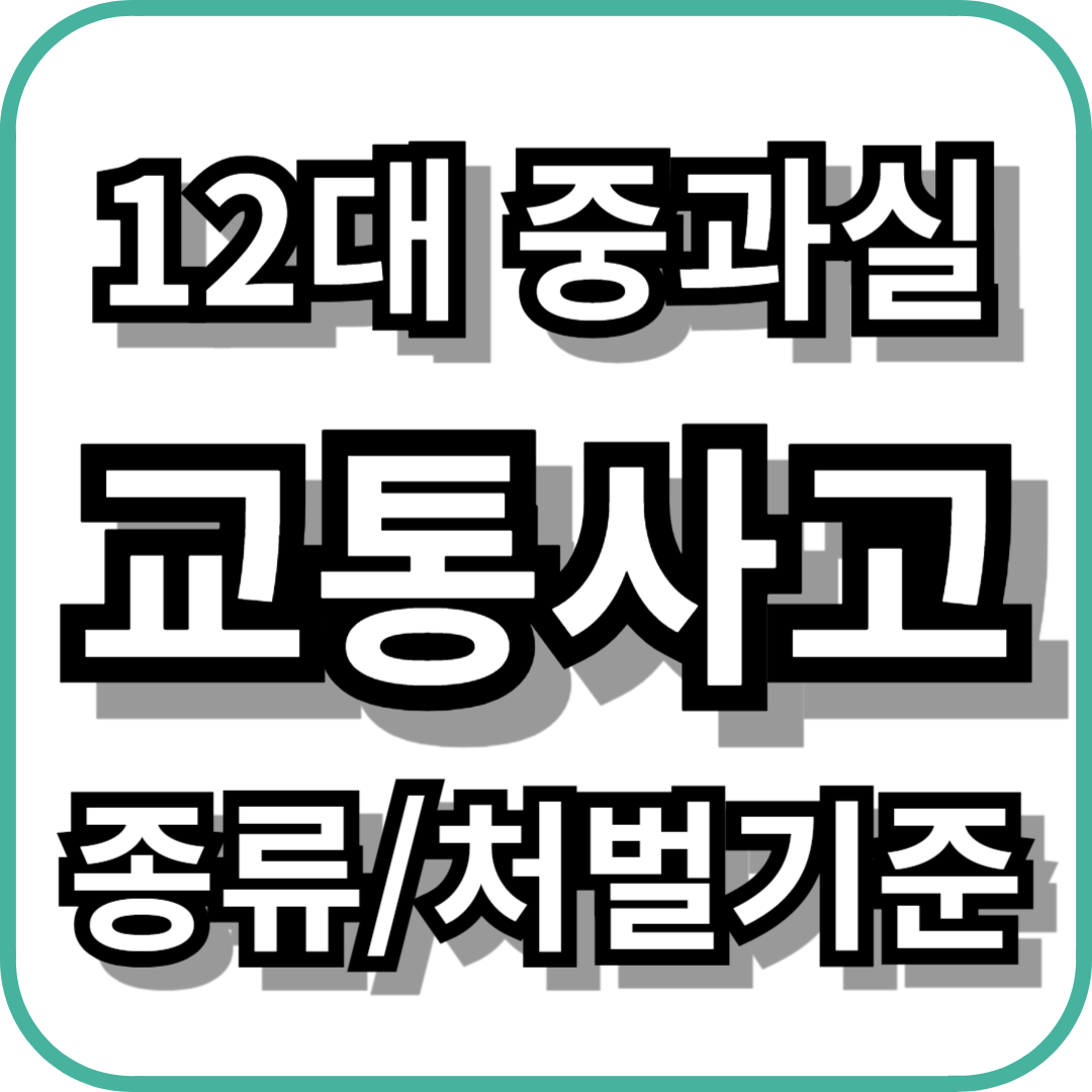 12대 중과실 교통사고 종류 및 처벌기준