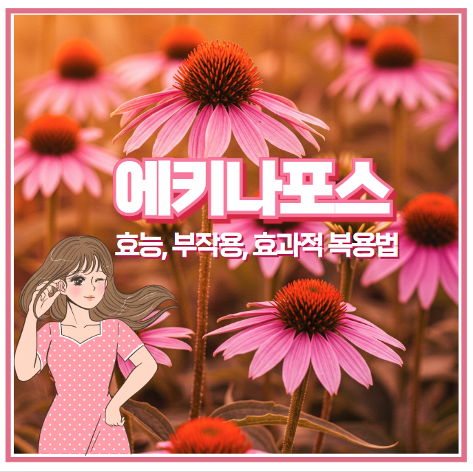 에키나포스 효능과 부작용, 효과적 사용법