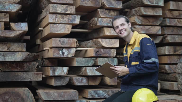 목재를 건조하고 있는 사진