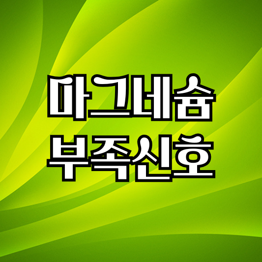 몸이 보내는 작지만 반복된 경고 마그네슘 부족