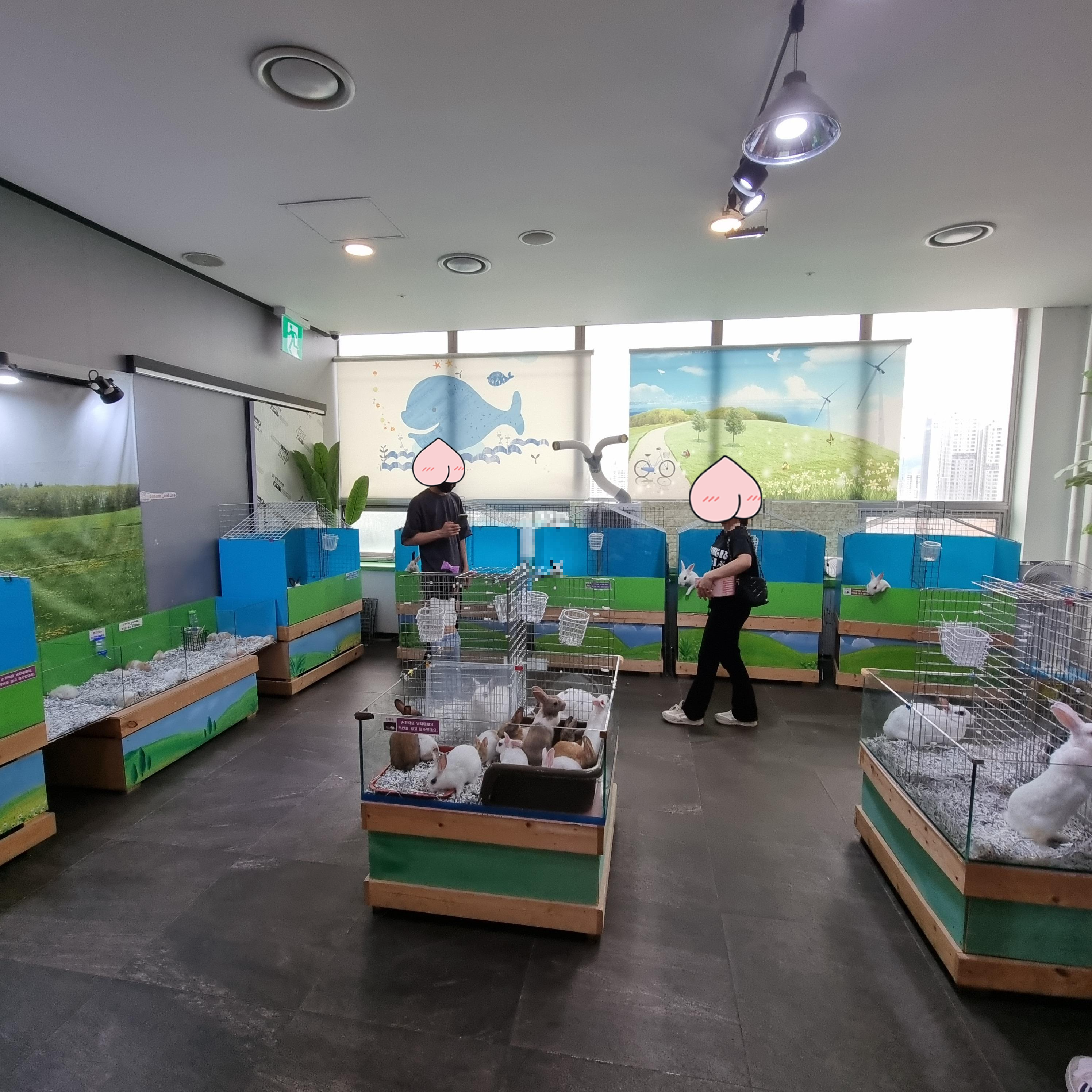 토끼 먹이주기 체험