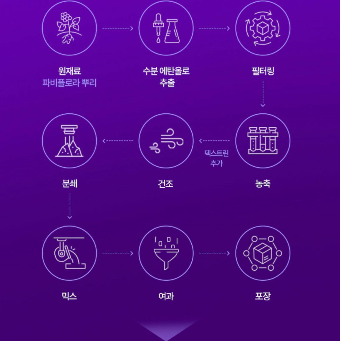 푸응 파비플로라란 무엇인가요?