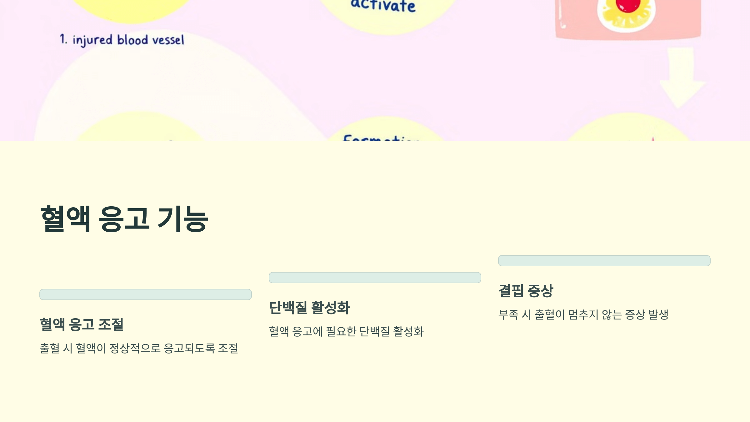 비타민K2와 관련된 사진입니다.