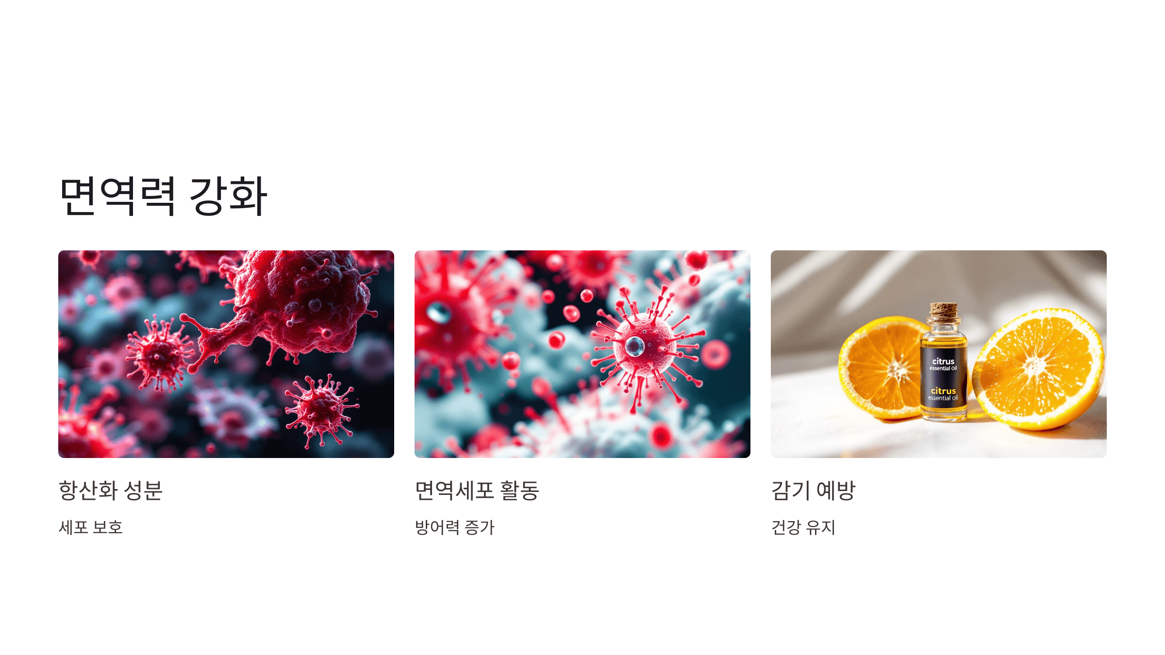 베르가못 사진입니다.