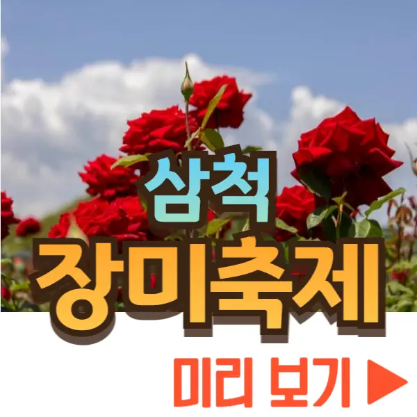 삼척 장미축제