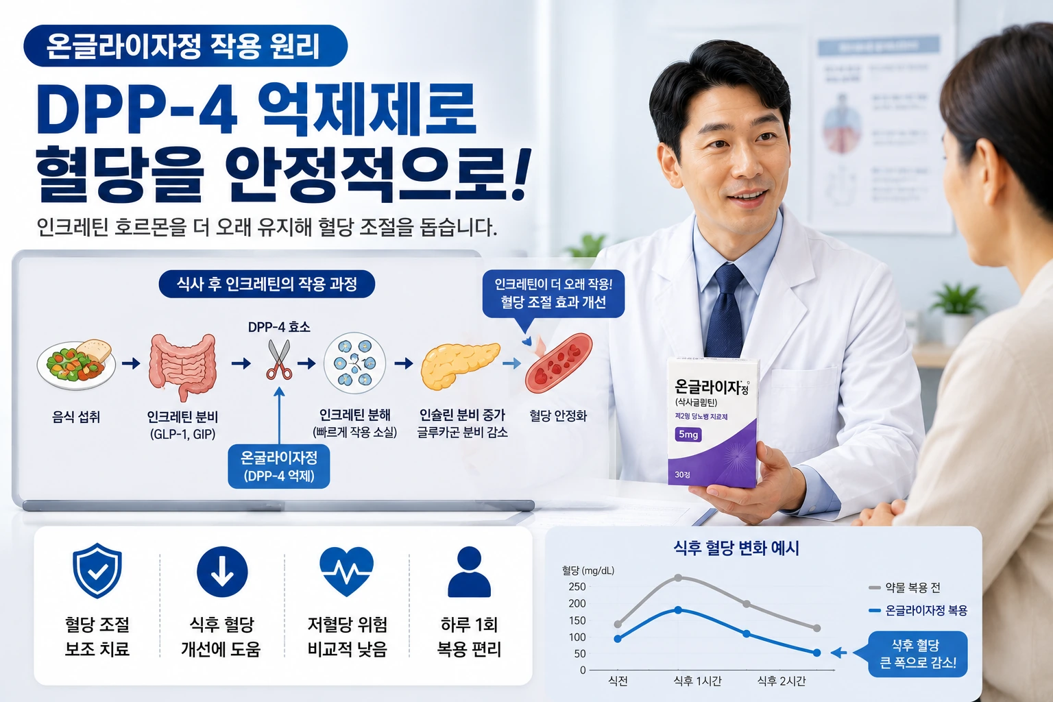 02_작용원리_온글라이자정