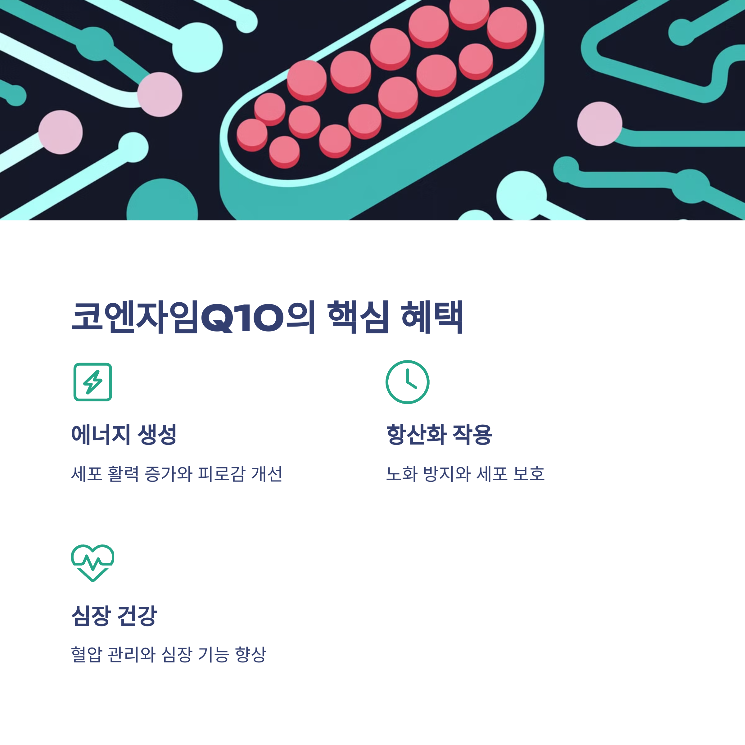 오메가3 vs 코엔자임Q10, 내 몸에 더 필요한 건?
