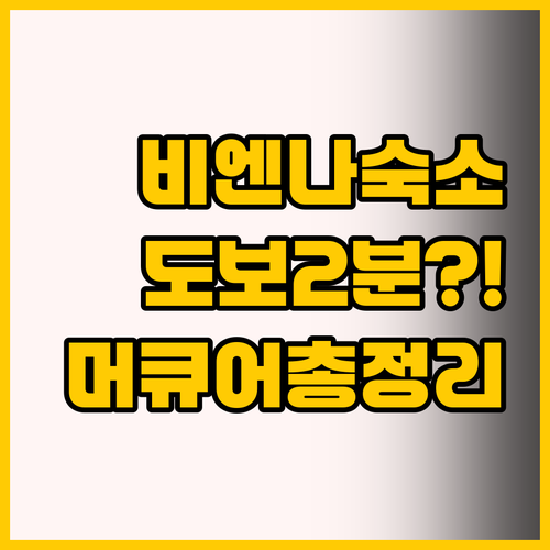 비엔나 여행 숙소 고민 끝, 성스테판..