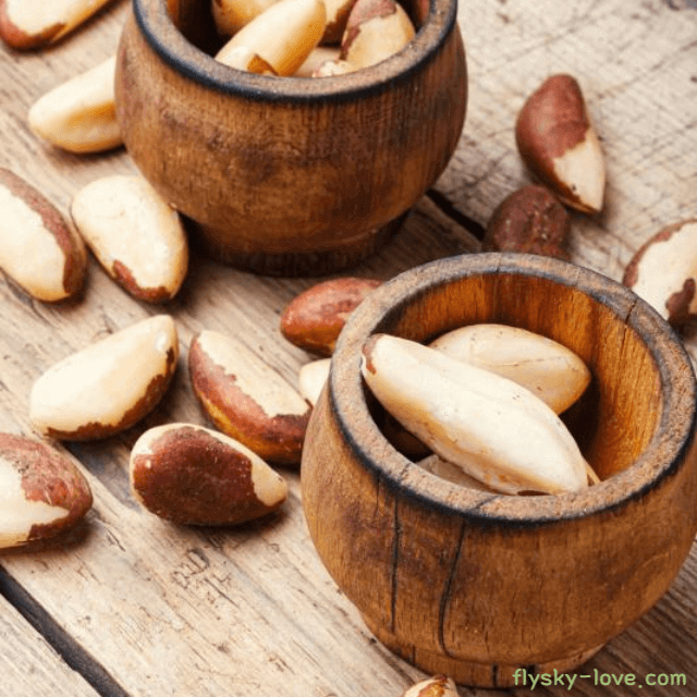 셀레늄이 풍부한 브라질 너트