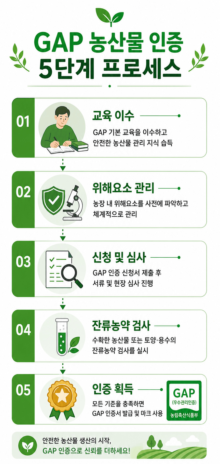 GAP 농산물 인증 5단계 프로세스 인포그래픽