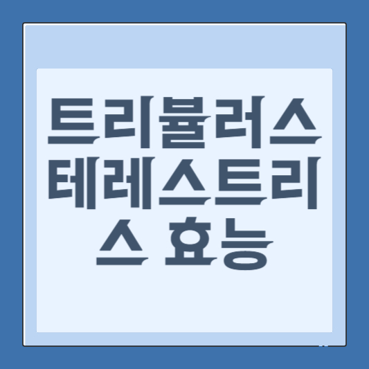 트리뷸러스 테레스트리스