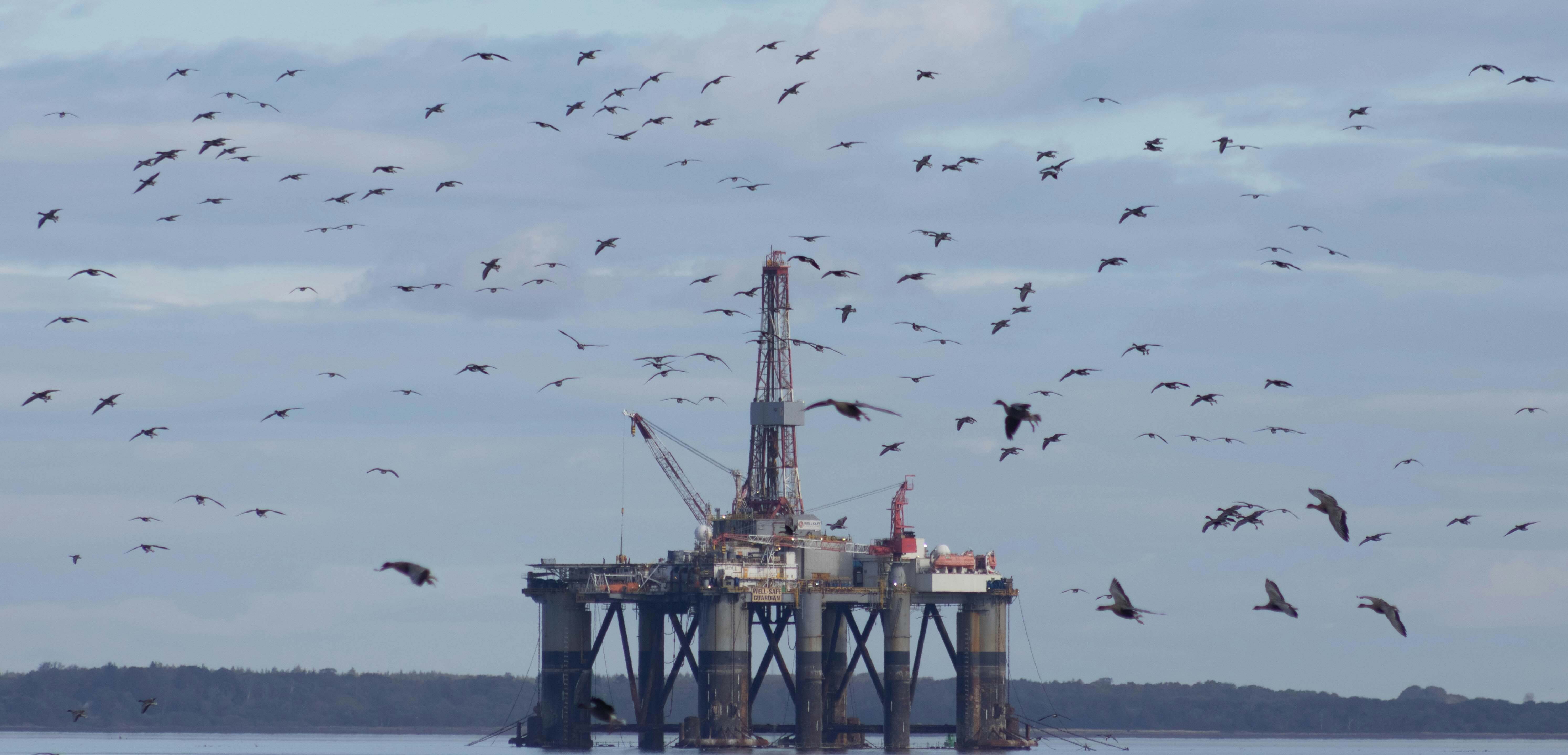 영화 자이언트 1956 배경 텍사스 석유 개발사 상징 시추기 실루엣