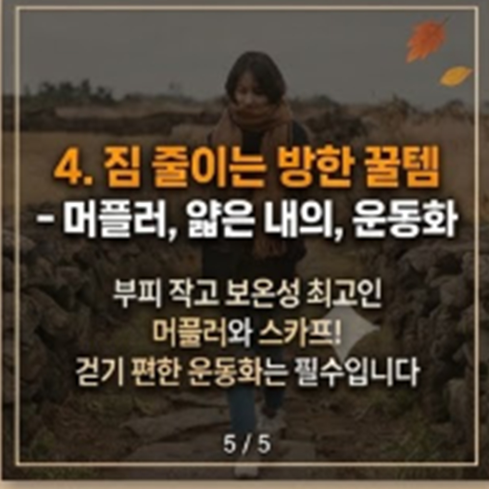11월 제주도 여행 옷차림