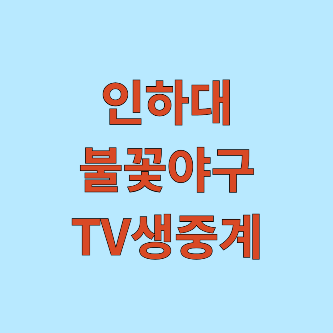 인하대 불꽃야구 TV생중계 보기