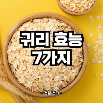 귀리 효능 부작용 밥짓기 먹는법 오트밀 차이_11
