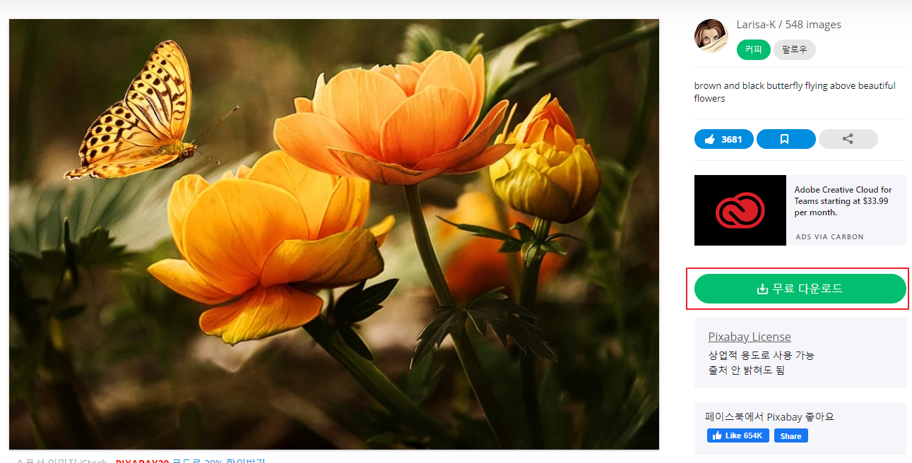 픽사베이(Pixabay) 무료 다운로드