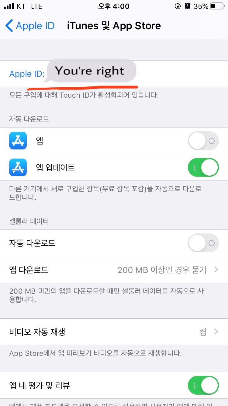 Apple ID 본인 이메일 터치