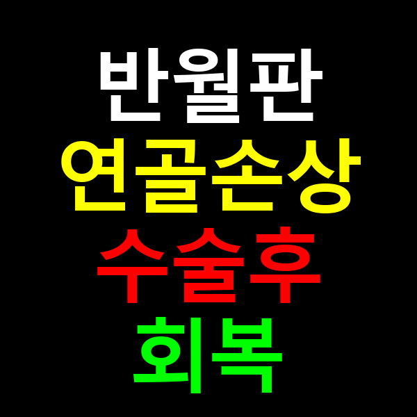 반월판 연골 손상