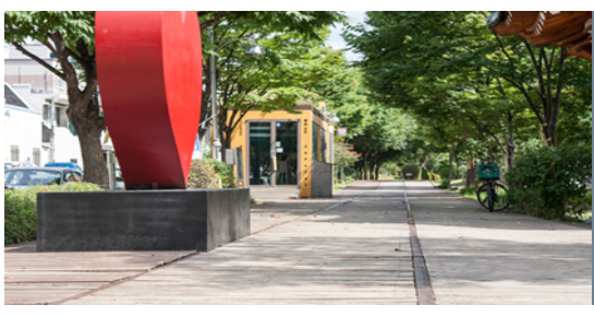 🌸 2025 광주 벚꽃 개화 지도 &amp; 늦게 피는 벚꽃(겹벚꽃) 명소 정리!