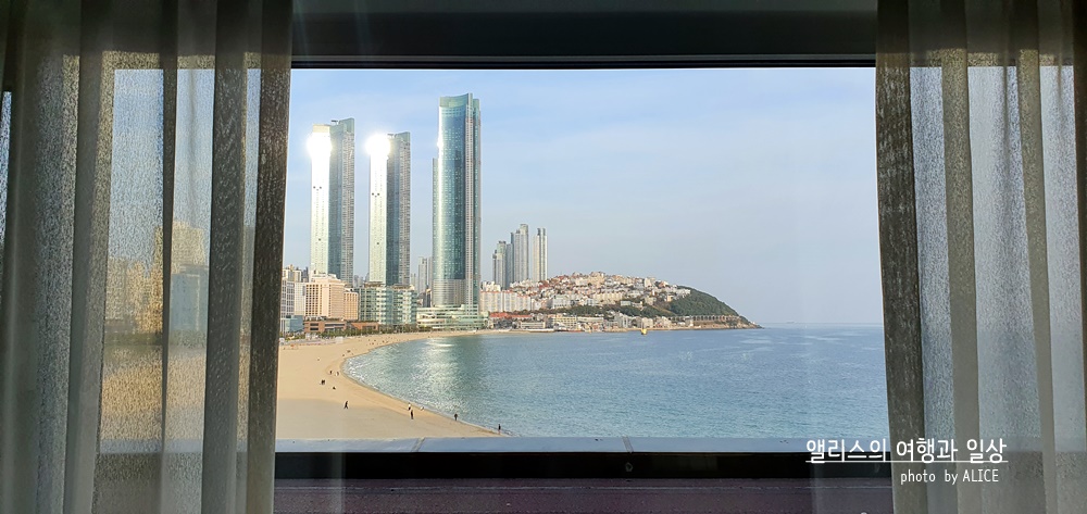 2021년 호텔 결산 QnA (제일 좋은, 가성비 좋은, 특색있는 호텔 등등등) ... 여행블로거 & 크리에이터 앨리스